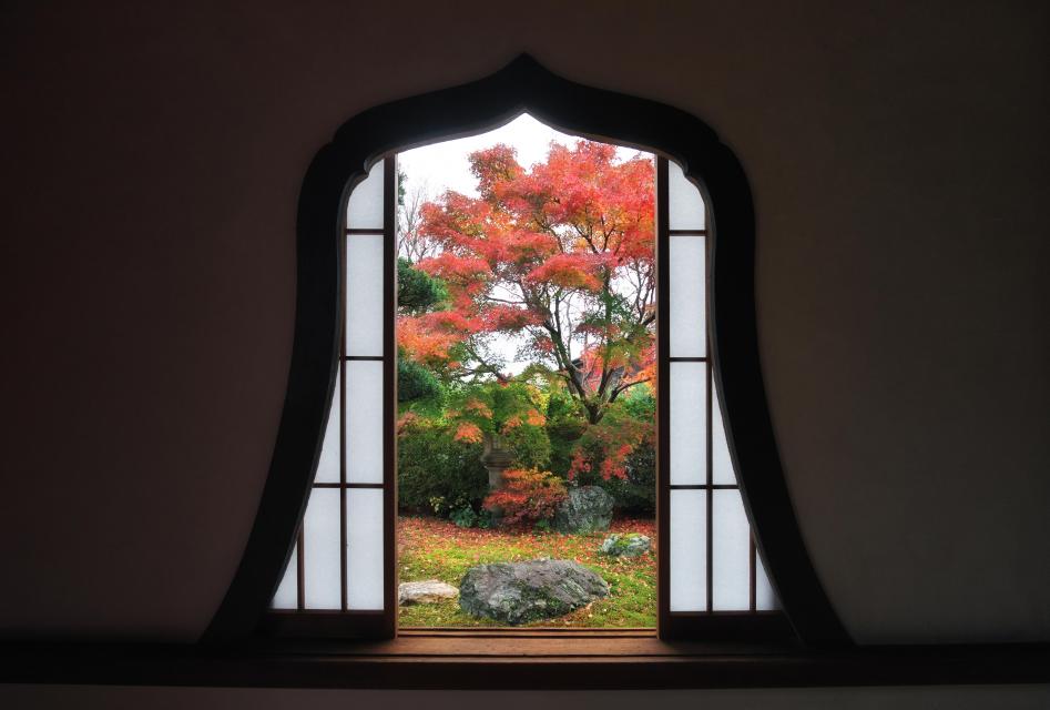 華頭窓と紅葉に色付く庭園　撮影　北野眞幸