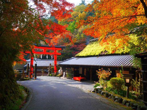 ©︎京都市メディア支援センター