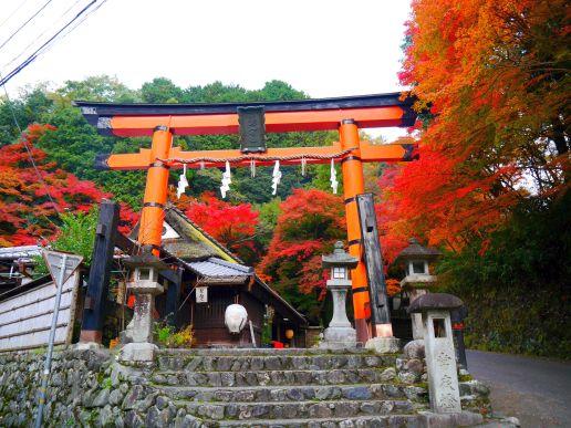©︎京都市メディア支援センター