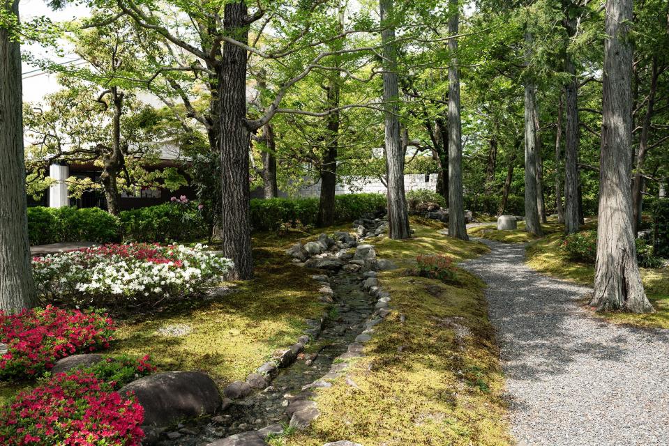 泉屋博古の庭_春景（撮影：守屋友樹）