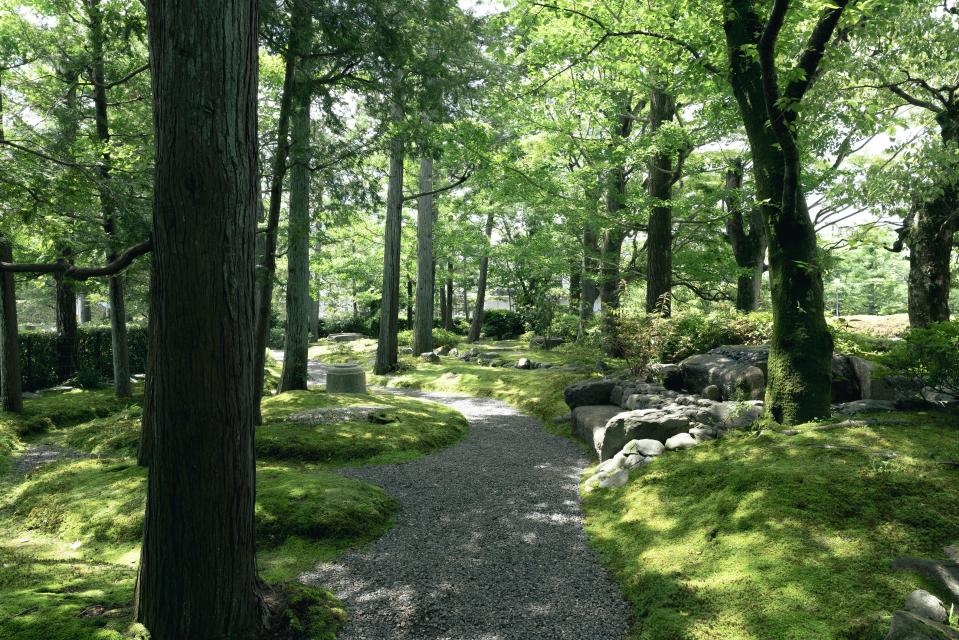 泉屋博古の庭_夏景（撮影：守屋友樹）