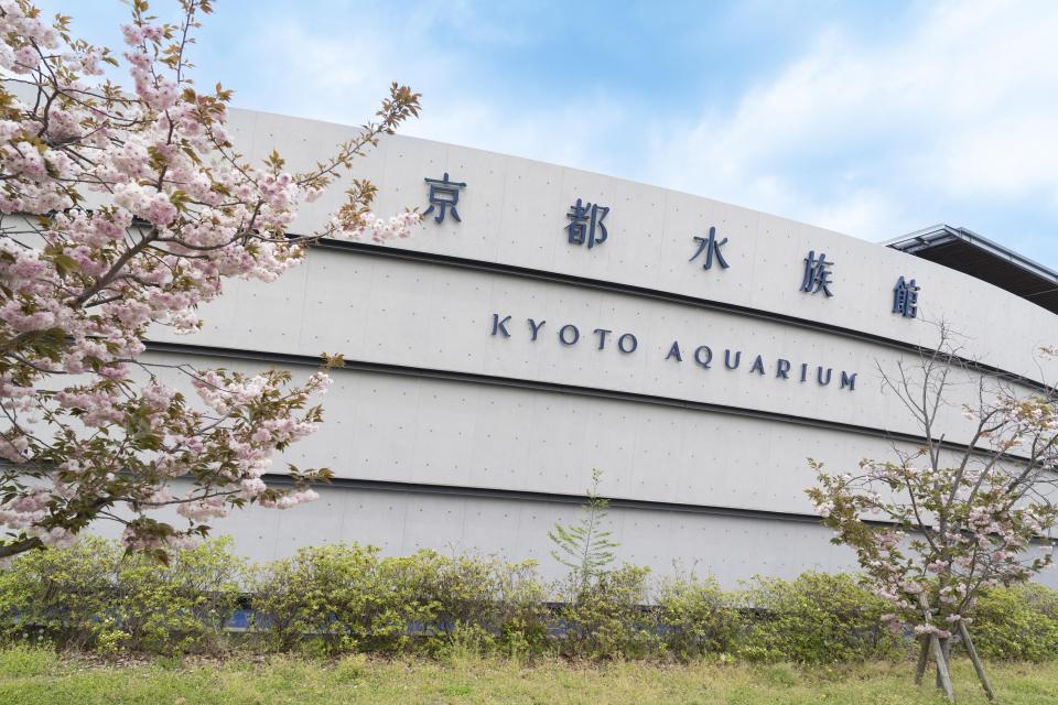 梅小路公園内にある水族館